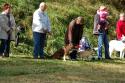 tiersegnung_2011_09