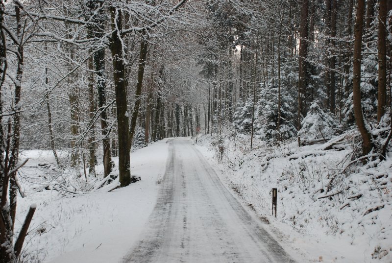 2009-12-19_01