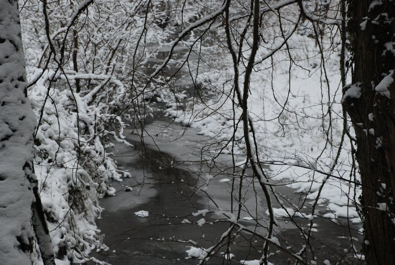 2009-12-19_02
