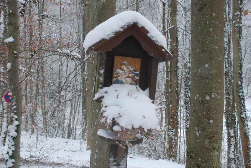 2009-12-19_07