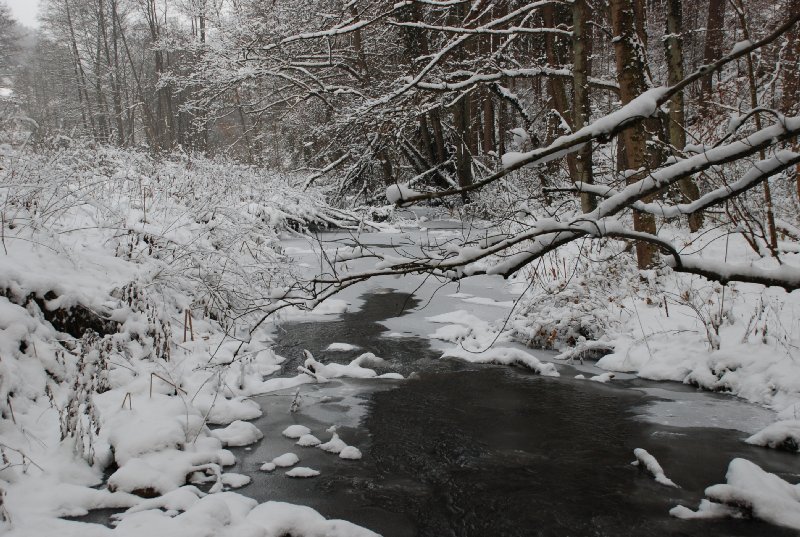 2009-12-19_16