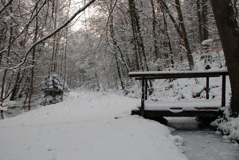 2009-12-19_17