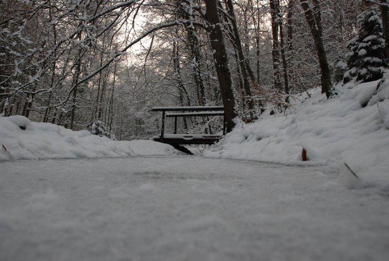 2009-12-19_18