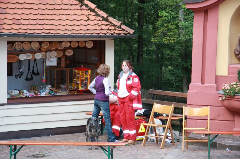 2010_klosterfest_70