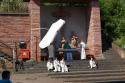 2010_stetten_13