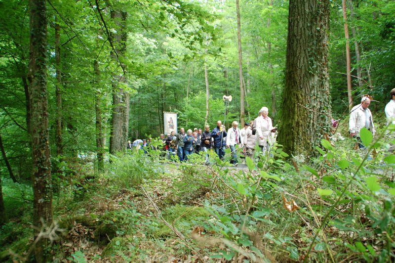 fulda_2011_58