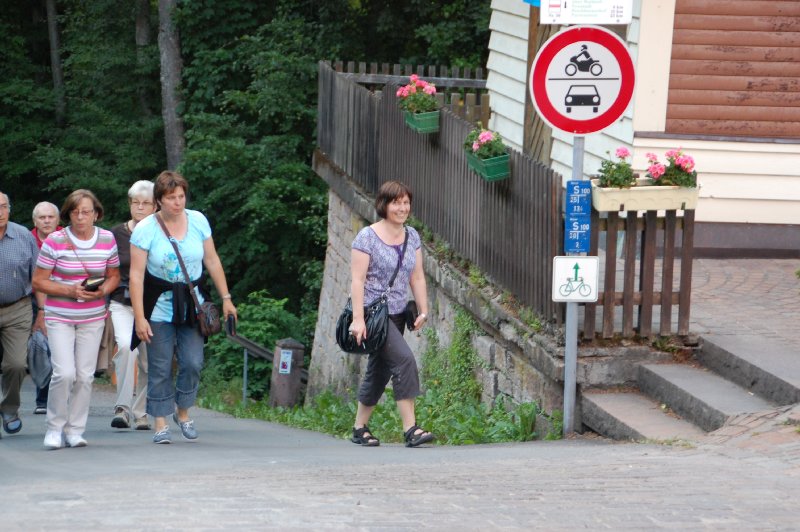 steinbacher_2011_15