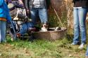 tiersegnung_2011_15