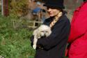 tiersegnung_2011_16