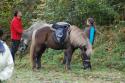 tiersegnung_2011_24