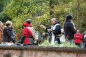 tiersegnung_2011_29