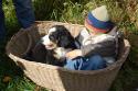 tiersegnung_2011_33