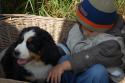 tiersegnung_2011_34