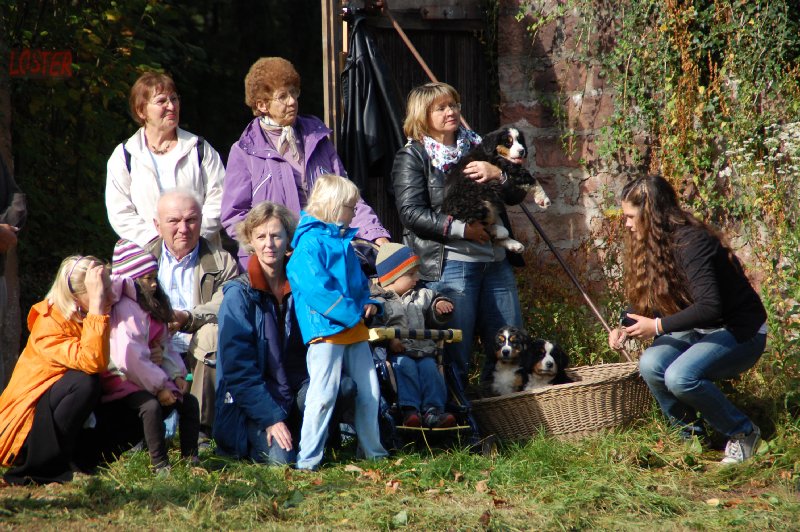 tiersegnung_2011_07