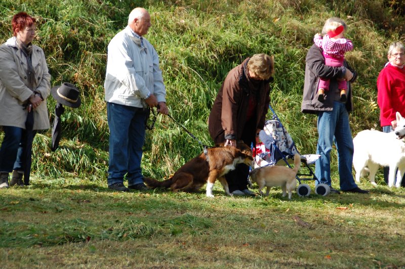 tiersegnung_2011_09