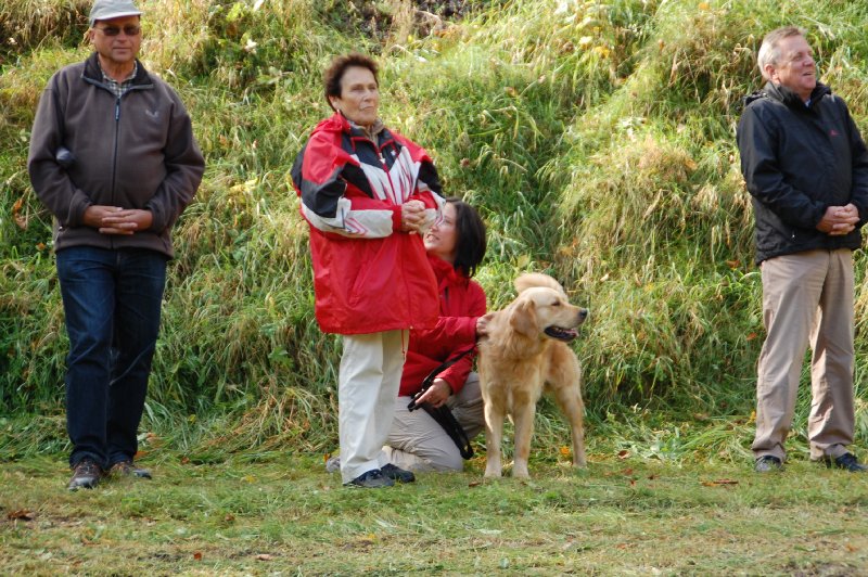 tiersegnung_2011_11