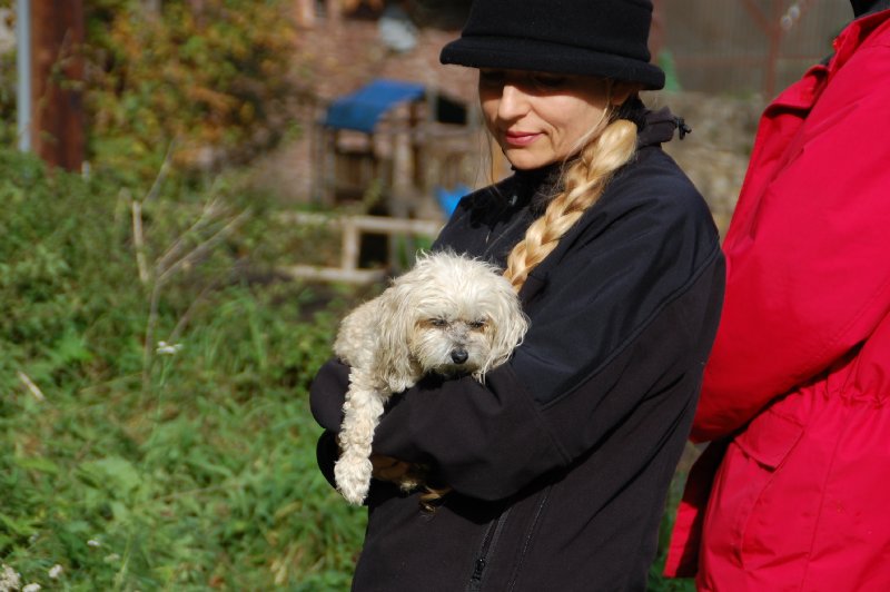 tiersegnung_2011_16
