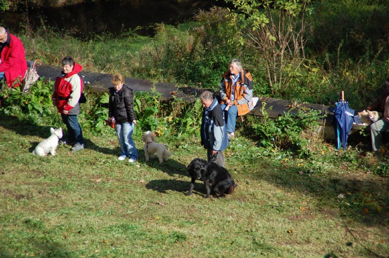 tiersegnung_2011_21
