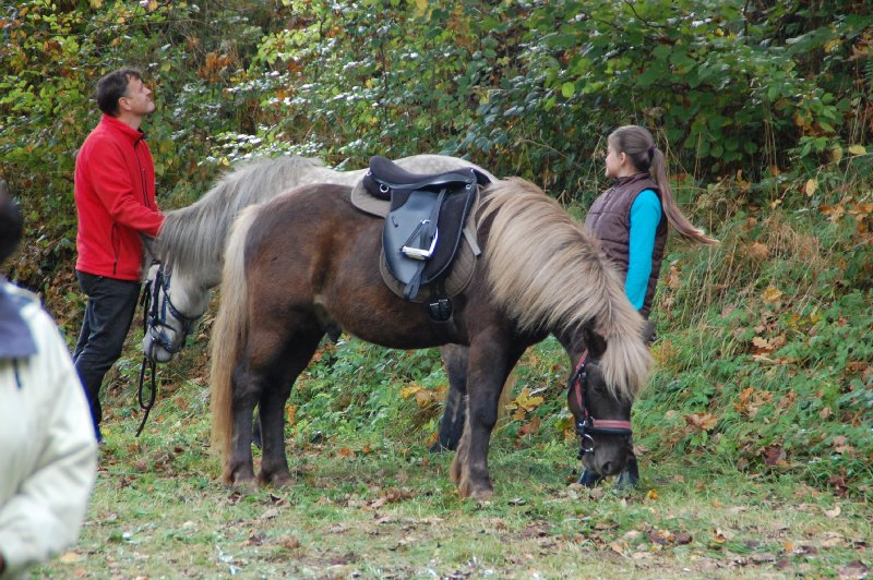 tiersegnung_2011_24