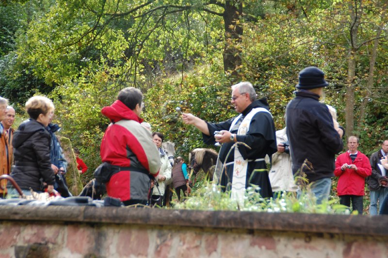 tiersegnung_2011_29