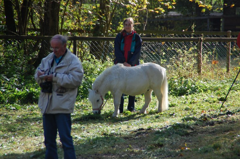 tiersegnung_2011_32