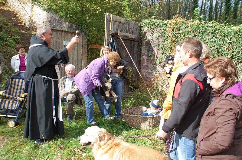 tiersegnung_2011_36