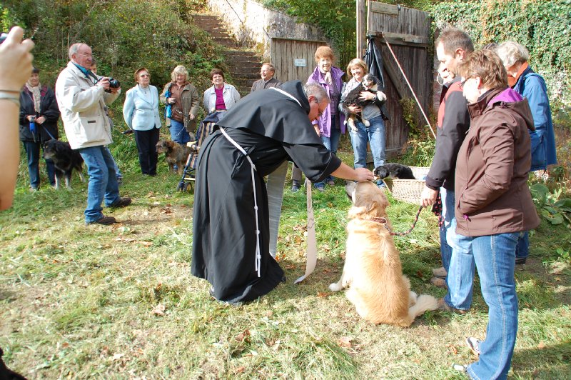 tiersegnung_2011_38