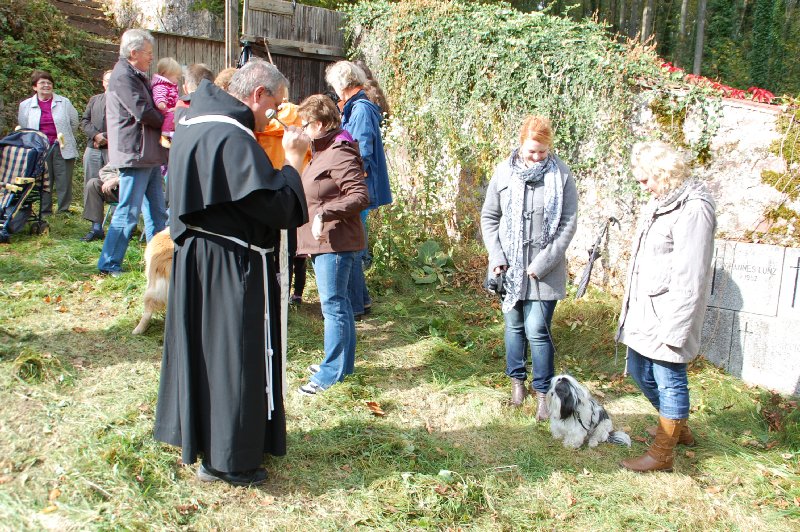 tiersegnung_2011_39