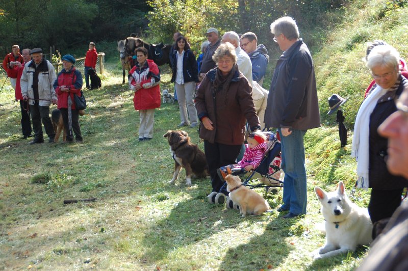 tiersegnung_2011_43