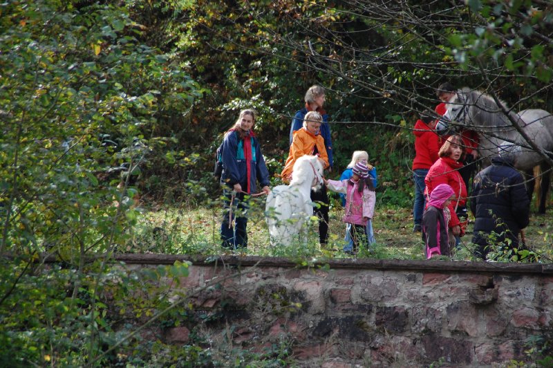 tiersegnung_2011_44