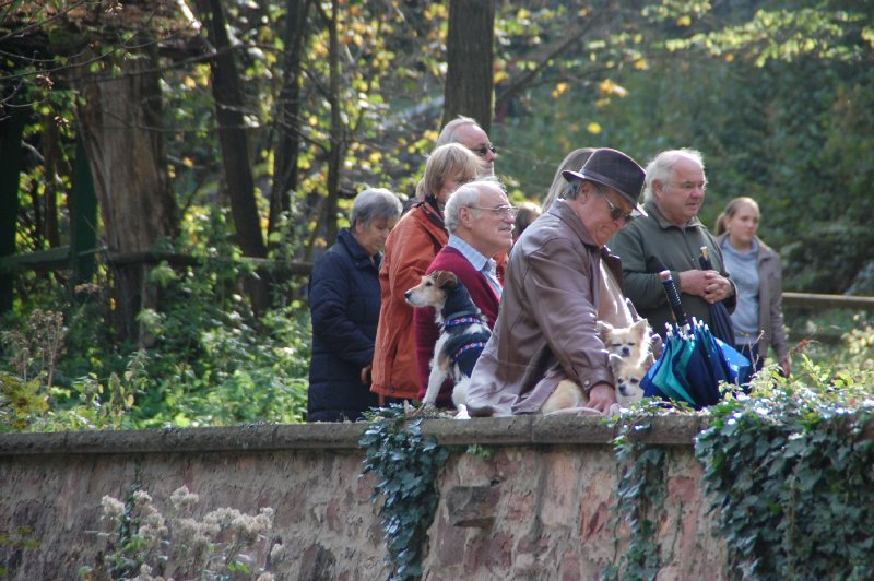 tiersegnung_2011_45