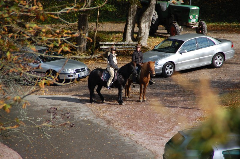 tiersegnung_2011_48