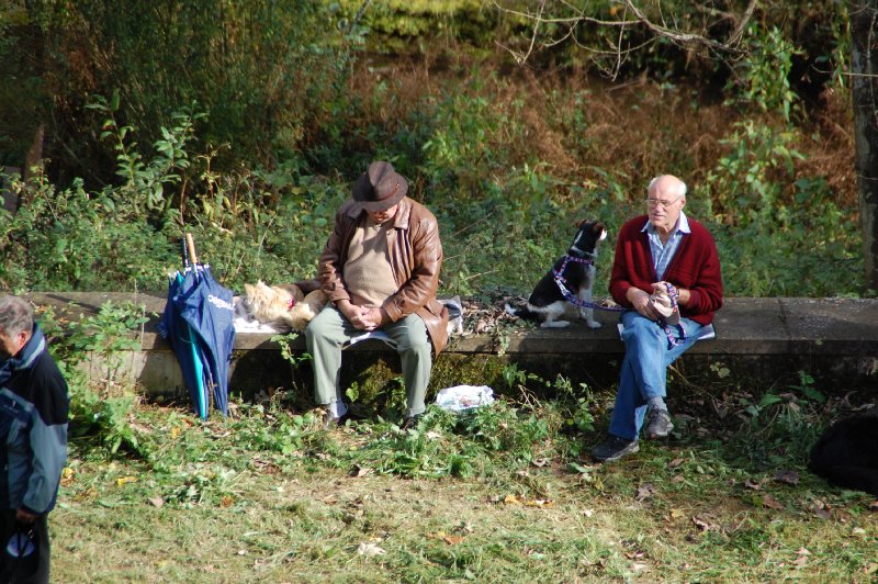 tiersegnung_2011_50