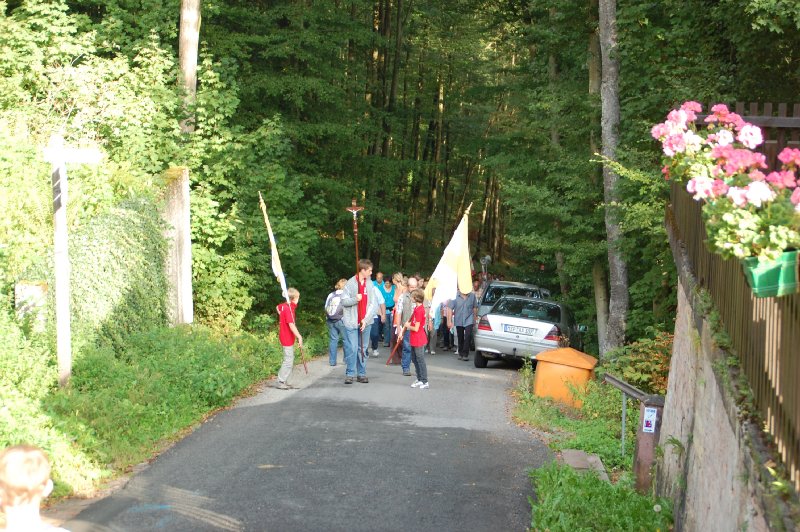 wf_wiesenfeld_02