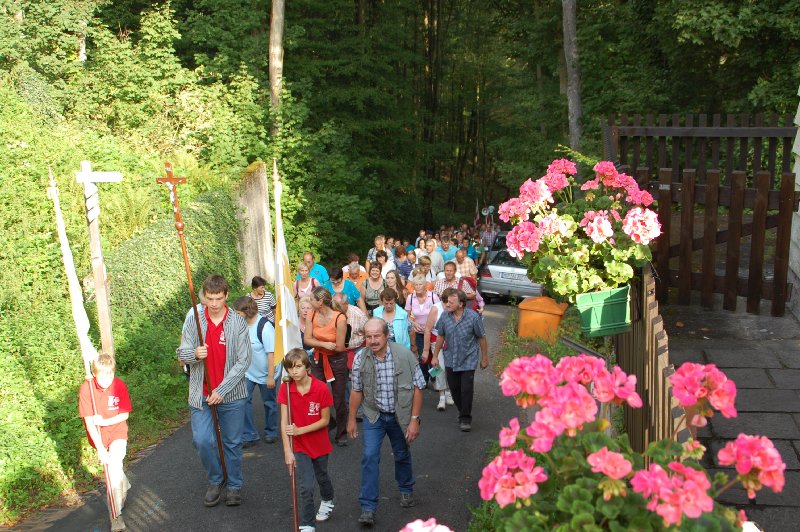 wf_wiesenfeld_03