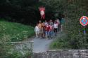 wf_zellingen_15