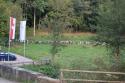 wf_zellingen_25
