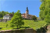 zur Video Seite
